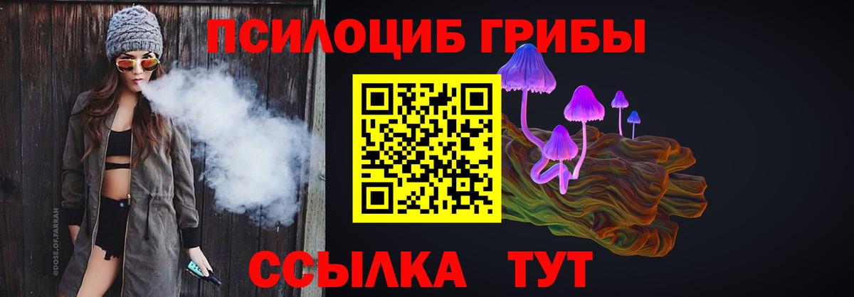 Кунгур  Псилоцибиновые грибы прущие грибы  Вход с VPN 
